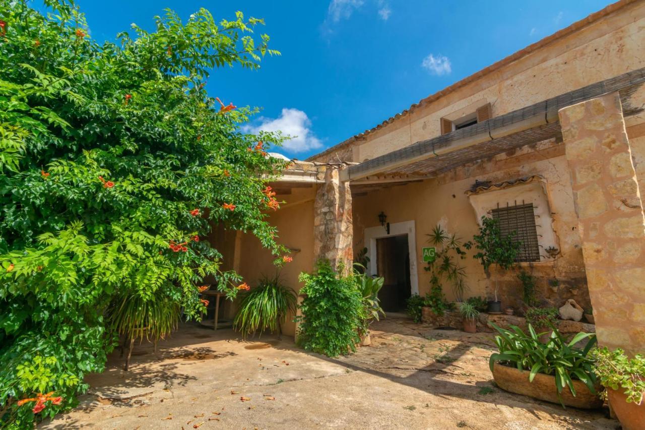 Son Mayol 2 Apartment *